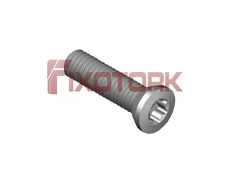 PARAFUSO TORX 30L12-B5010