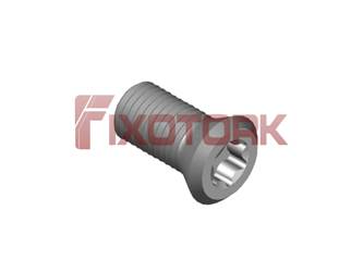 PARAFUSO TORX 40L80-B6115