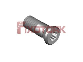 PARAFUSO TORX 60L17-AM8720