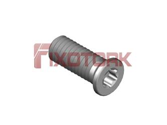 PARAFUSO TORX 30L80-W4308