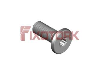 PARAFUSO TORX 30L80-W6008