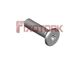 PARAFUSO TORX 30L12-W6008