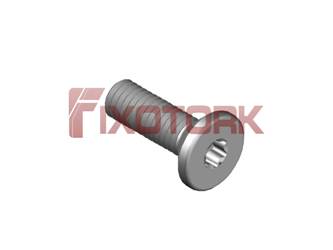 PARAFUSO TORX 30L10-W6008