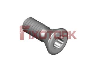 PARAFUSO TORX 25L72-B4608