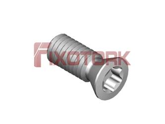 PARAFUSO TORX 30L72-B4410