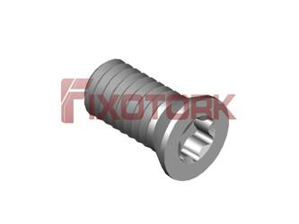 PARAFUSO TORX 40L80-W5815