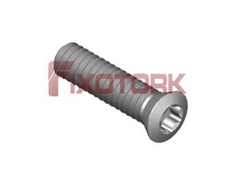 PARAFUSO TORX 20L80-B3106