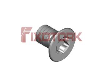 PARAFUSO TORX 40L60-W7420