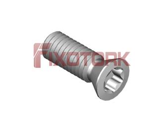 PARAFUSO TORX 30L82-B4410