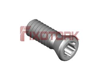 PARAFUSO TORX 22L60-E3207