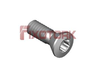 PARAFUSO TORX N6-32L10-W6015