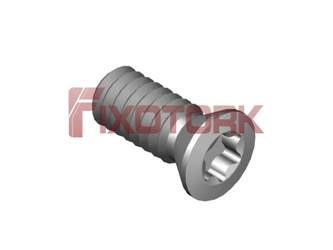 PARAFUSO TORX 20L45-B3006