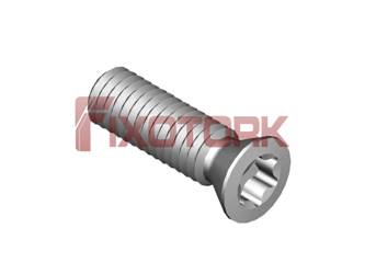 PARAFUSO TORX 30L10-B4410