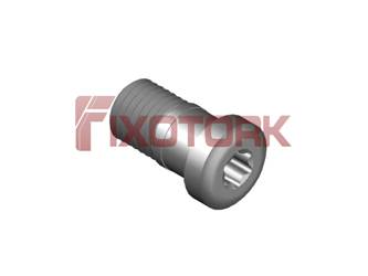 PARAFUSO TORX 60L13-LA8420