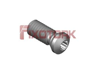 PARAFUSO TORX 50L13-K6715