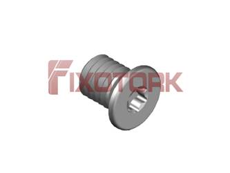 PARAFUSO TORX 40L55-W6510