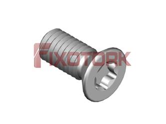 PARAFUSO TORX 30L65-W5010