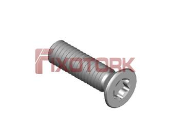 PARAFUSO TORX 30L10-W5010