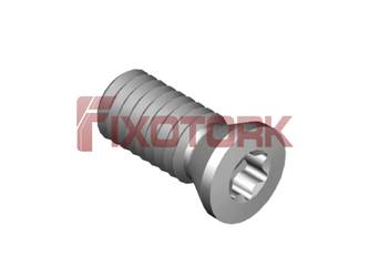 PARAFUSO TORX 35L80-A4809