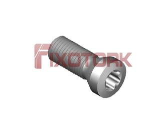 PARAFUSO TORX 40L11- A5915
