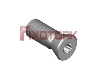PARAFUSO TORX 60L14-B8520