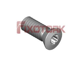 PARAFUSO TORX 45L11-B6915