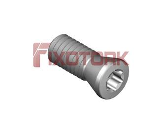 PARAFUSO TORX 35L90-B4810