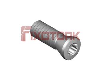 PARAFUSO TORX 35L10-B4810