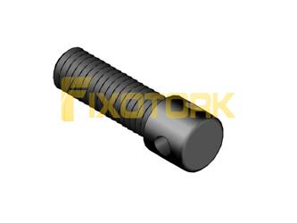 PARAFUSO AXIAL 30L12-AX40DIAM15