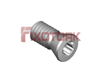 PARAFUSO TORX 35L72-B4910