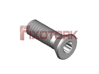PARAFUSO TORX 40L12-E6515
