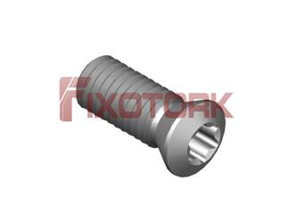 PARAFUSO TORX 50L13-A7020