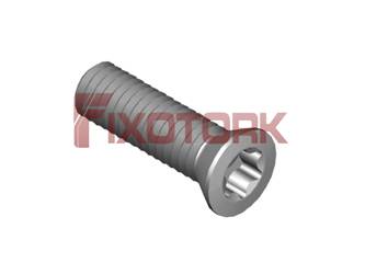 PARAFUSO TORX 35L12-B5515/30