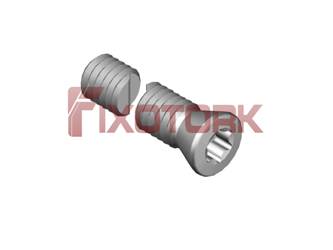 PARAFUSO TORX 35L20-B4910