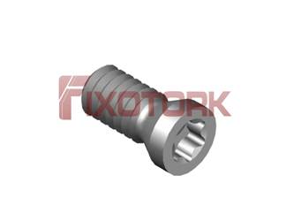PARAFUSO TORX 20L46-A2706